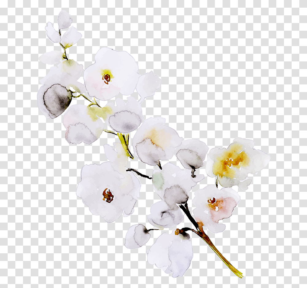 Artificial Flower, Plant, Blossom, Orchid, Pollen Transparent Png