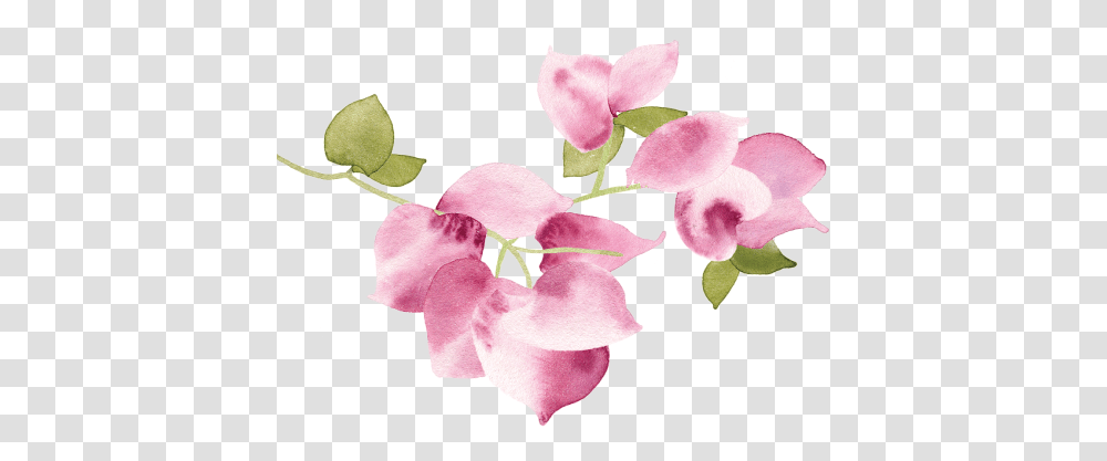 Artificial Flower, Plant, Blossom, Petal, Orchid Transparent Png