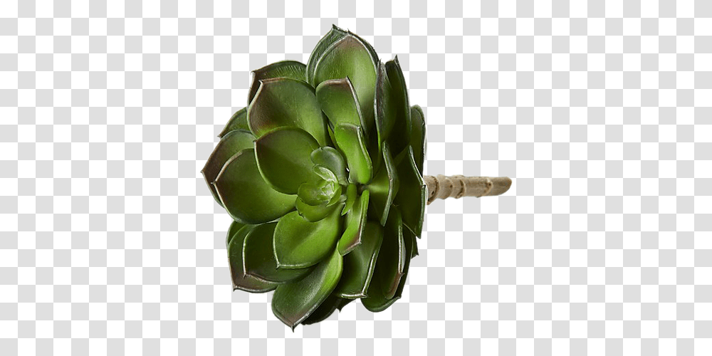 Artificial Flower, Plant, Cactus, Artichoke, Produce Transparent Png