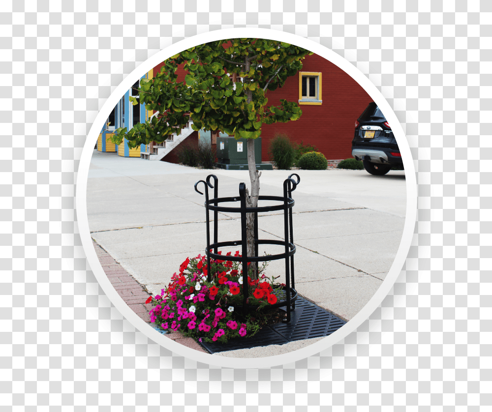 Artificial Flower, Plant, Car, Urban, City Transparent Png