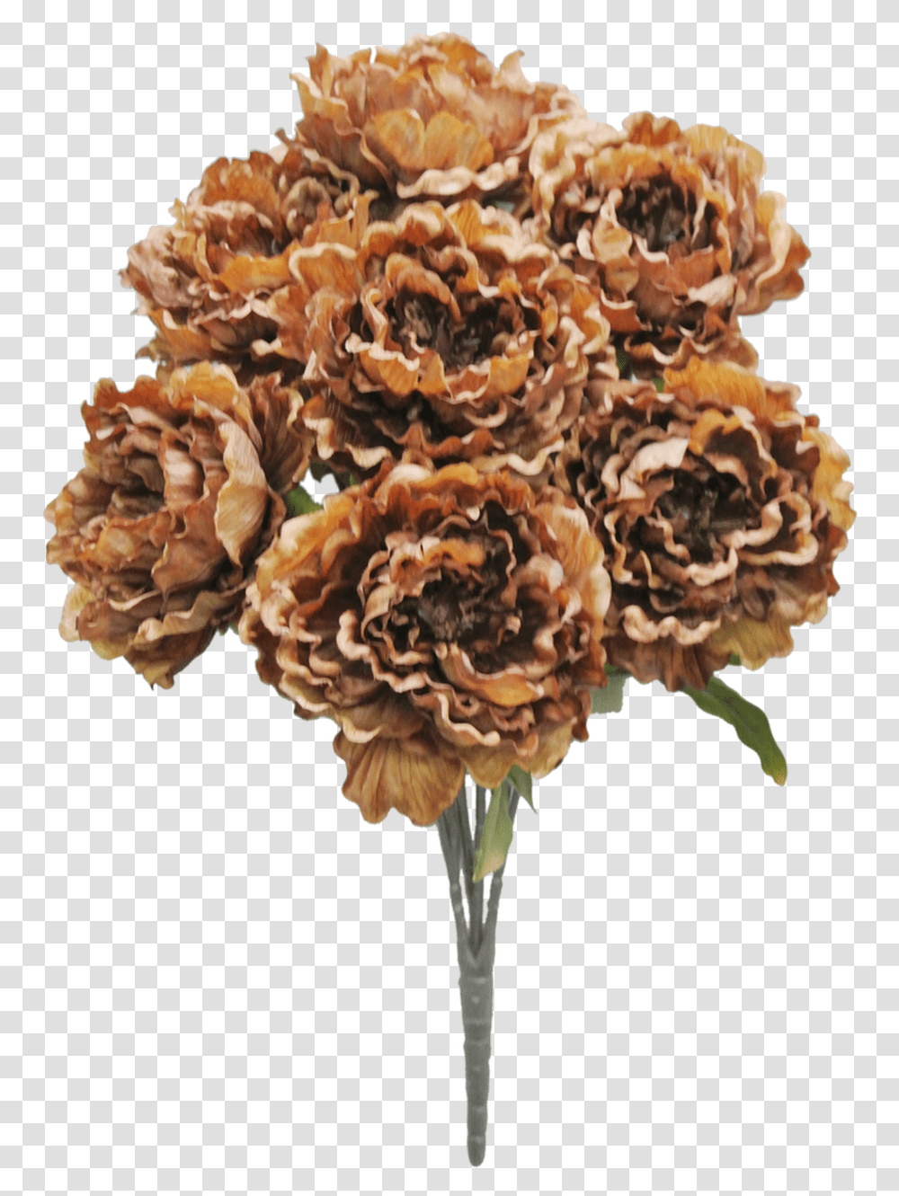 Artificial Flower, Plant, Carnation, Blossom, Fungus Transparent Png