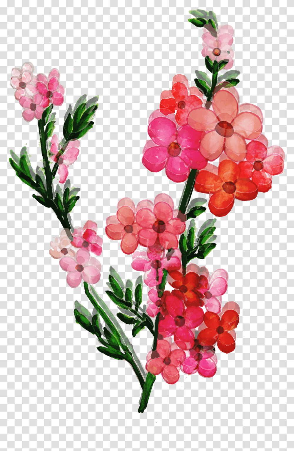 Artificial Flower, Plant, Floral Design, Pattern Transparent Png
