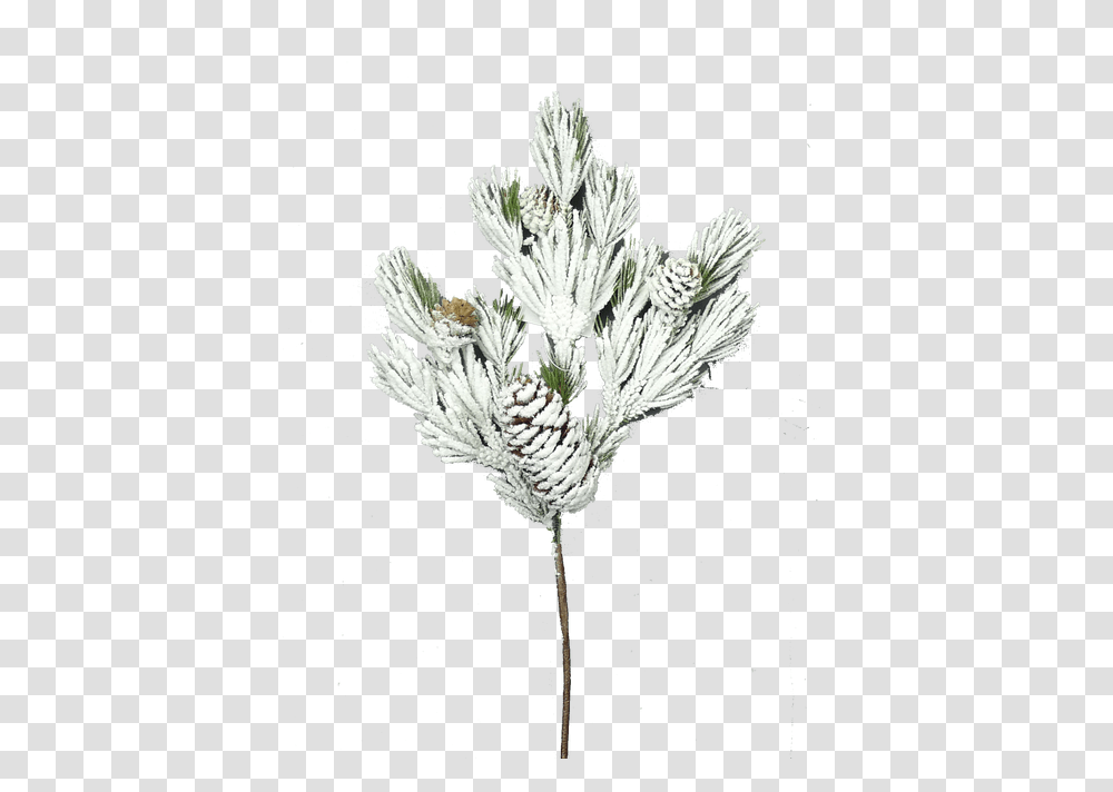 Artificial Flower, Plant, Grass, Acanthaceae, Nature Transparent Png
