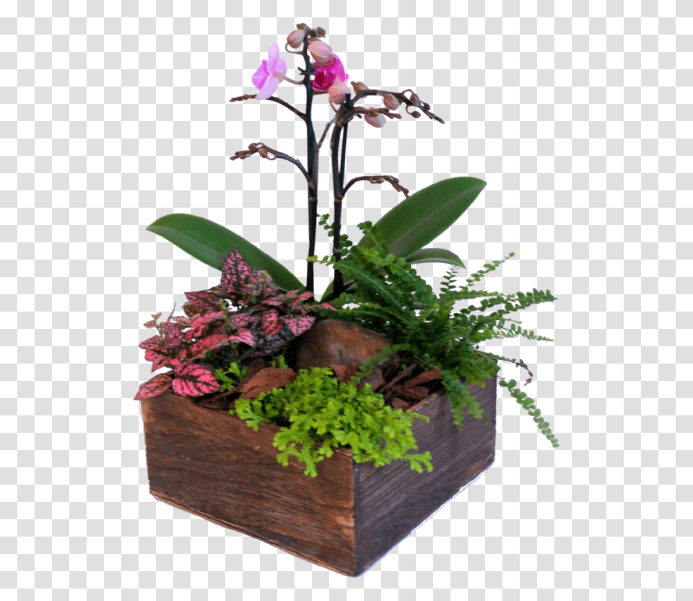 Artificial Flower, Plant, Ikebana, Vase, Ornament Transparent Png