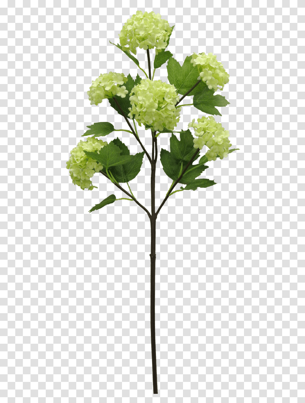 Artificial Flower, Plant, Leaf, Tree, Petal Transparent Png