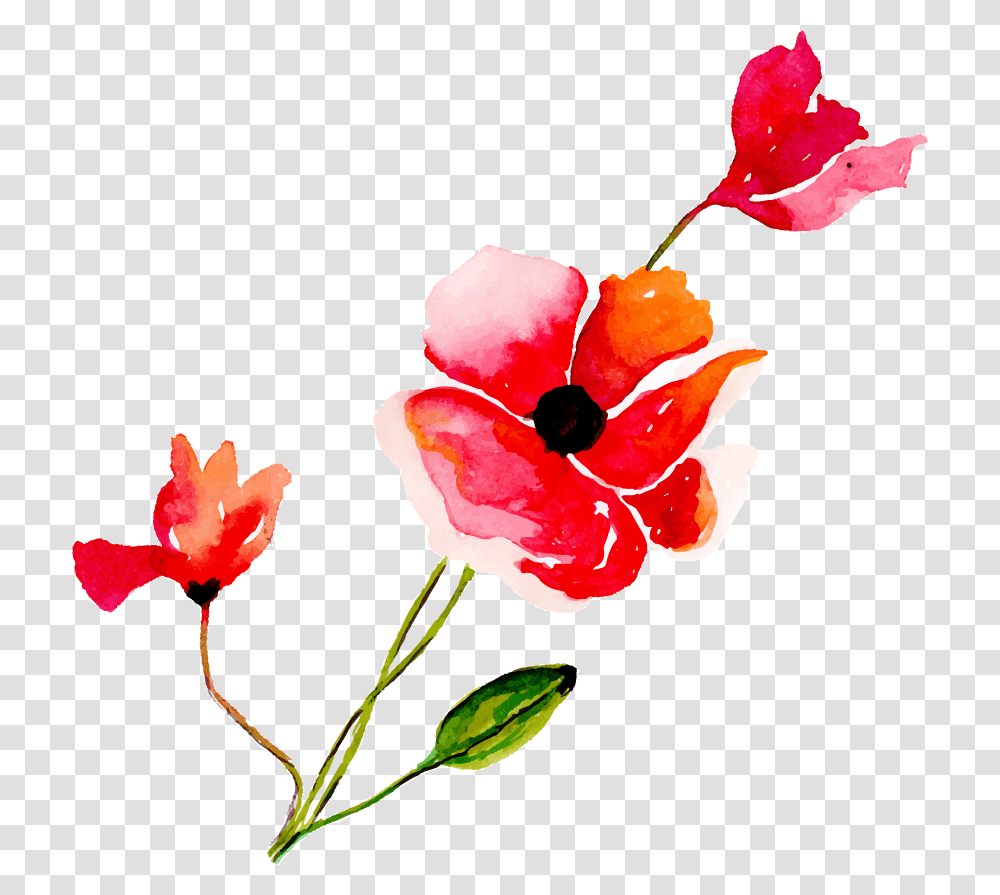 Artificial Flower, Plant, Petal, Blossom, Hibiscus Transparent Png
