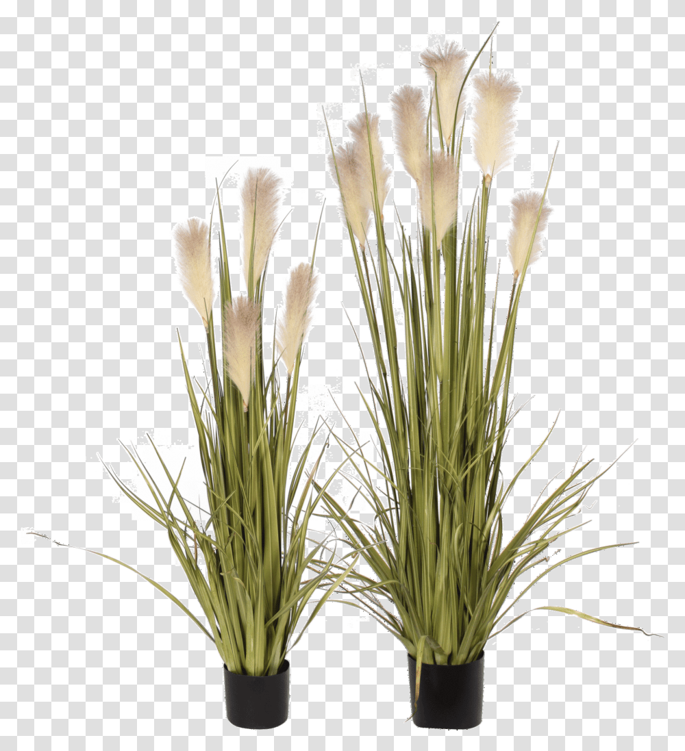 Artificial Flowers Grass, Plant, Blossom, Flower Arrangement, Flower Bouquet Transparent Png