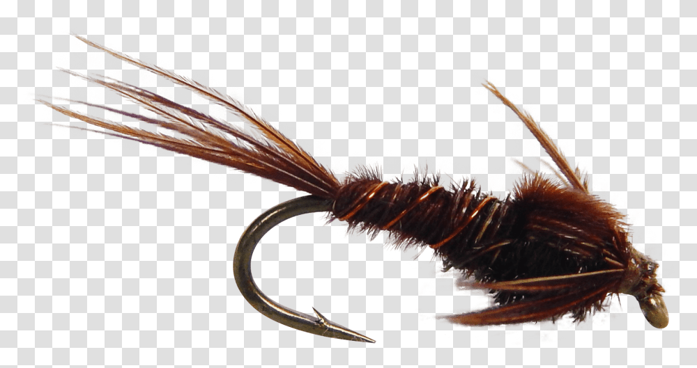 Artificial Fly Pheasant Tail Nymph Fly Fishing Fly Artificial Fly, Nature, Outdoors, Ice, Snow Transparent Png
