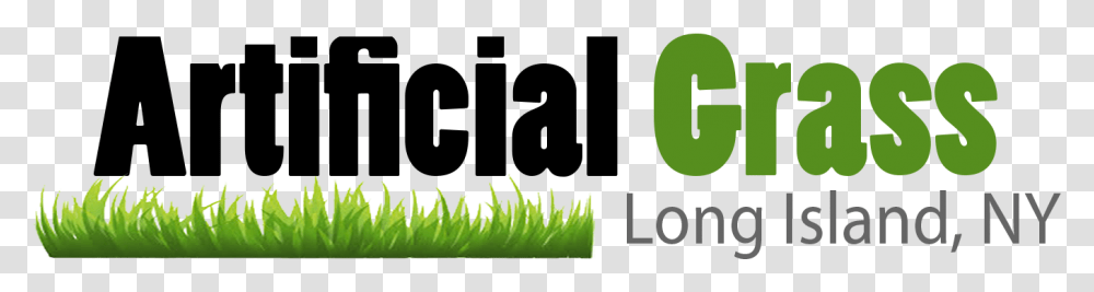 Artificial Grass In Long Island Ny Grass, Plant, Green, Vegetation, Moss Transparent Png