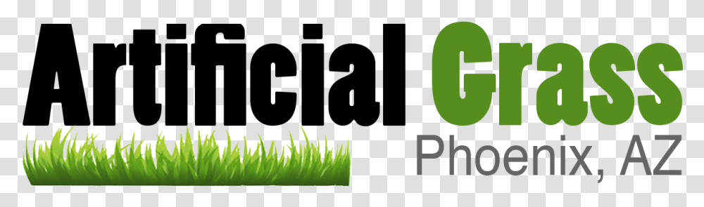 Artificial Grass In Phoenix Arizona Festival Offer, Plant, Tree, Animal Transparent Png
