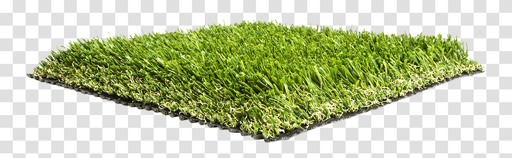 Artificial Grass Liquidators Turf Agl Pro69 Lawn, Plant, Moss, Vegetation, Sprout Transparent Png