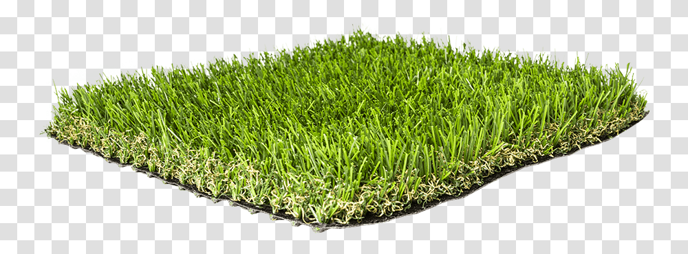 Artificial Grass Liquidators Turf Products Agl Pro50 Sweet Grass, Plant, Moss, Vegetation, Sprout Transparent Png