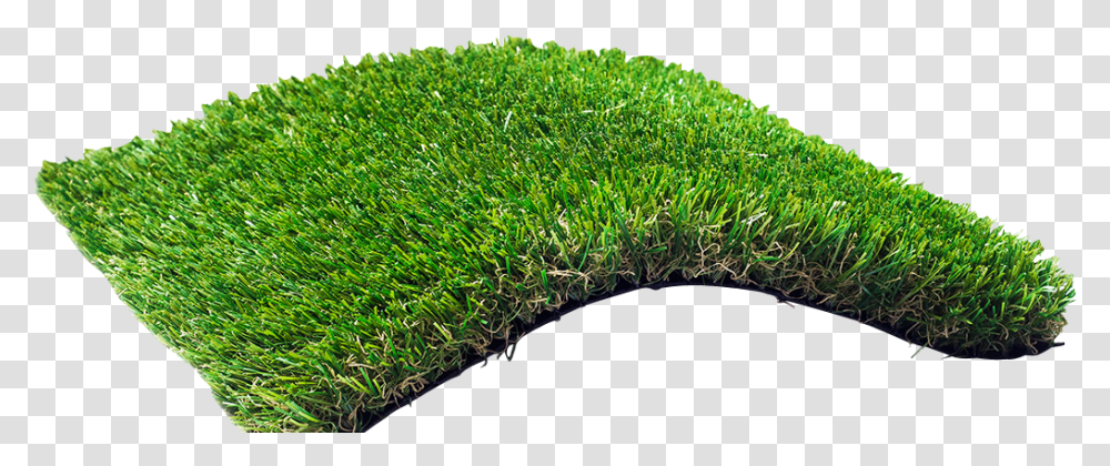Artificial Grass, Moss, Plant, Vegetation, Land Transparent Png