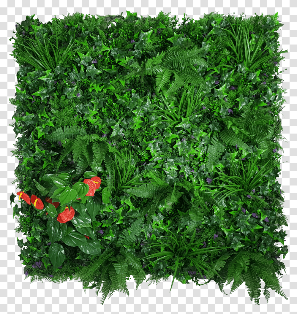 Artificial Green Wall Hedge Panel Mixed Jungle Hedge Wall Jungle, Bush, Vegetation, Plant, Potted Plant Transparent Png