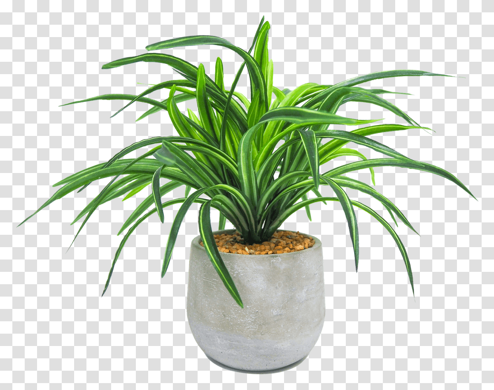 Artificial Plants Trees Houseplant, Palm Tree, Arecaceae, Vegetation, Flower Transparent Png