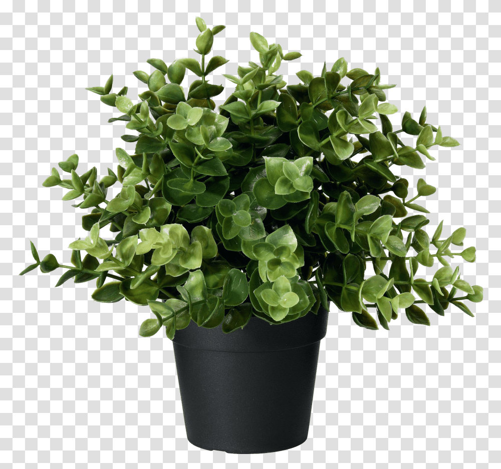 Artificial Potted Plant Oregano Background Plant Pots Hd, Flower, Blossom, Leaf, Geranium Transparent Png