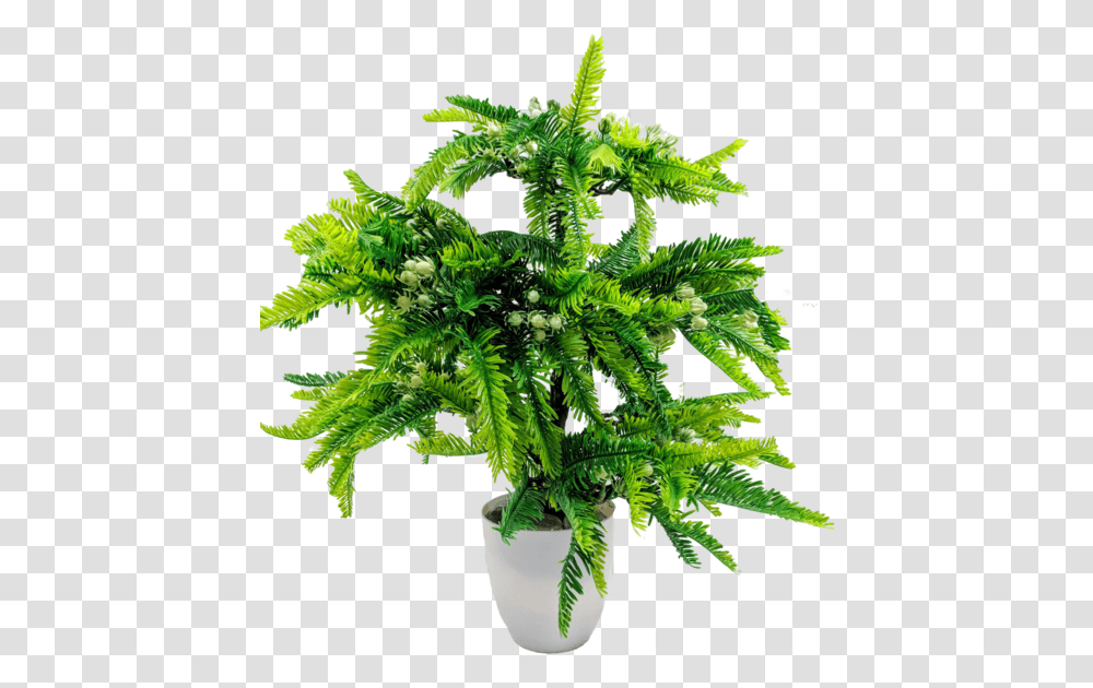Artificial Potted TreeData Rimg LazyData Rimg, Plant, Potted Plant, Vase, Jar Transparent Png