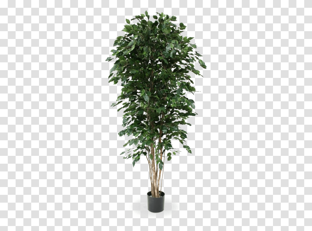 Artificial Tree File, Plant, Bush, Vegetation, Potted Plant Transparent Png