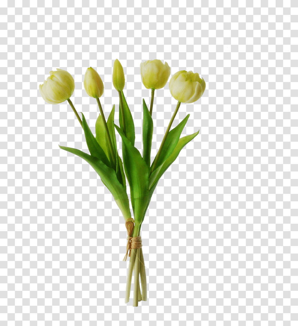 Artificial Tulips In A Bundle, Plant, Flower, Green, Petal Transparent Png