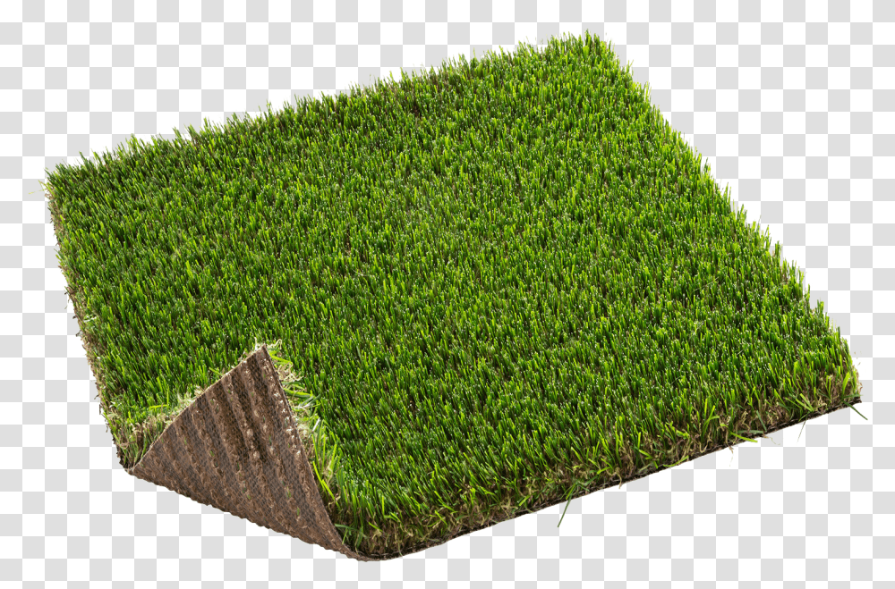 Artificial Turf, Moss, Plant, Hedge, Fence Transparent Png