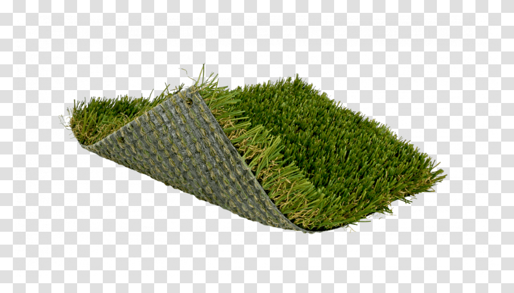 Artificial Turf, Plant, Grass, Vegetation, Field Transparent Png