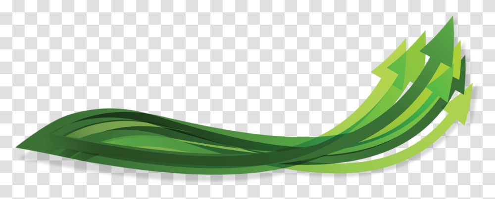 Artificial Turf, Plant, Produce, Food, Vegetable Transparent Png