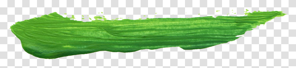 Artificial Turf, Plant, Vegetable, Food, Produce Transparent Png