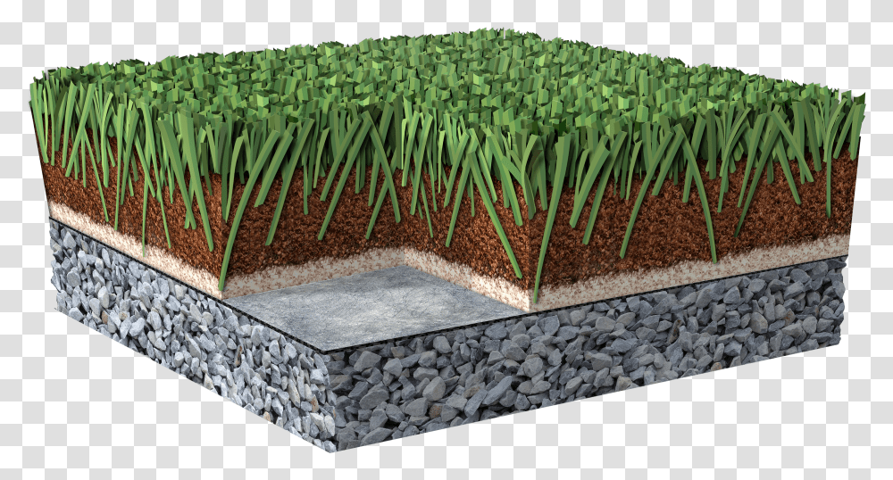 Artificial Turf, Rug, Plant, Soil, Vegetation Transparent Png