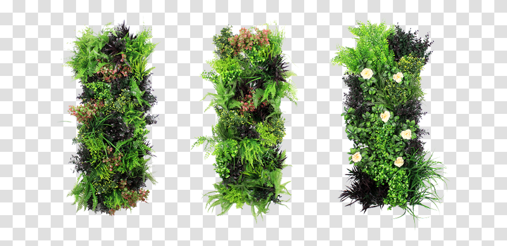 Artificial Vertical Garden Vertical Green Wall, Plant, Bush, Vegetation, Moss Transparent Png