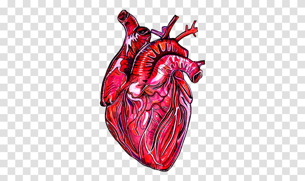 Artistic Anatomy Human Heart Heart Anatomy, Drawing, Animal, Graphics, Modern Art Transparent Png