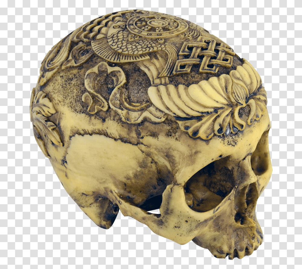 Artistic Carved Human Skull Carved Human Skull Art, Pottery, Turtle, Reptile, Sea Life Transparent Png