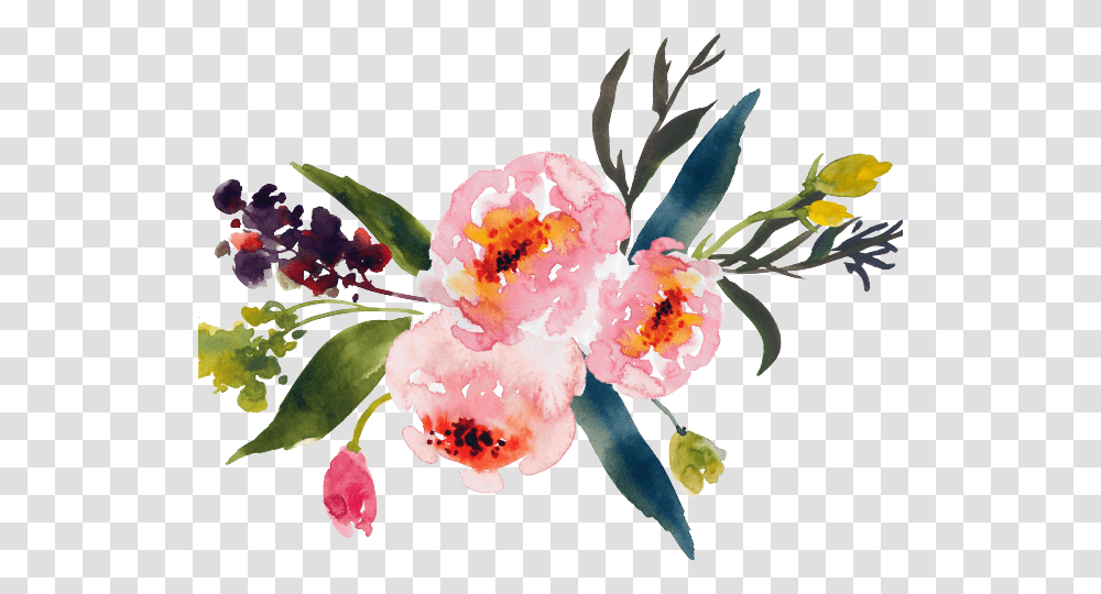 Artistic Clipart Watercolor Paint Watercolor Flower Background, Plant, Blossom, Petal, Peony Transparent Png