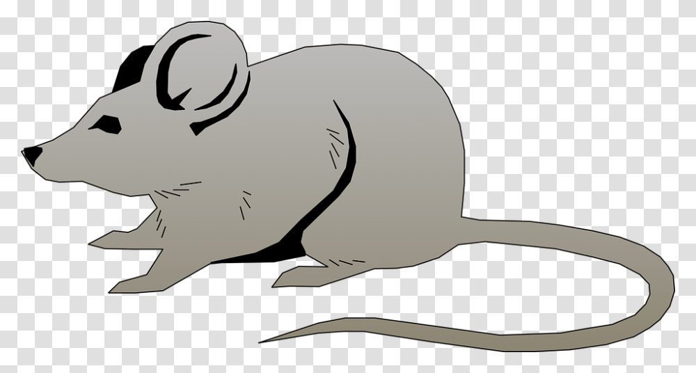 Artjerboaanimal Figurebeaverwhiskers Mouse Clip Art, Mammal, Rodent, Wildlife, Baseball Cap Transparent Png
