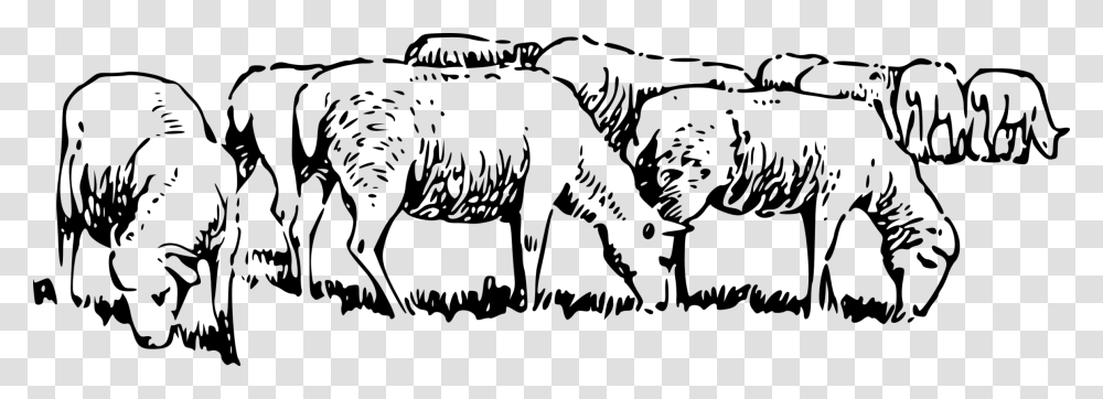 Artlivestockmonochrome Photography Black And White Sheep Clip Art, Gray, World Of Warcraft Transparent Png