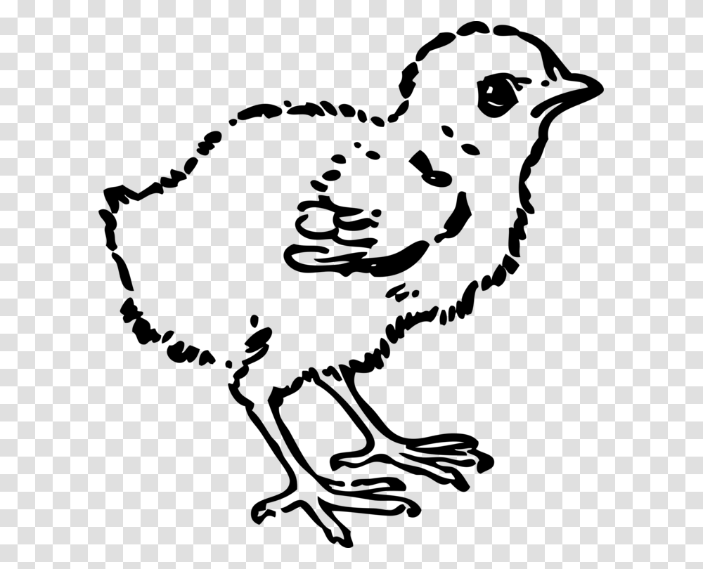 Artmonochrome Photographygalliformes Baby Chick Clipart Black And White, Nature, Outdoors, Outer Space, Astronomy Transparent Png