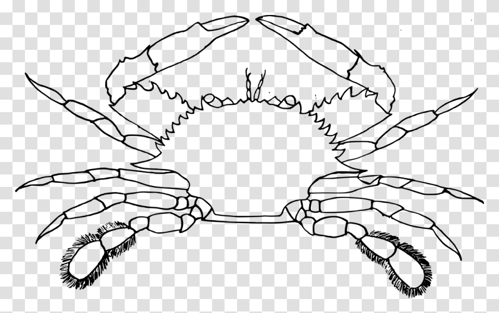 Artsymmetryplant Crab Clip Art Black And White, Gray, World Of Warcraft Transparent Png