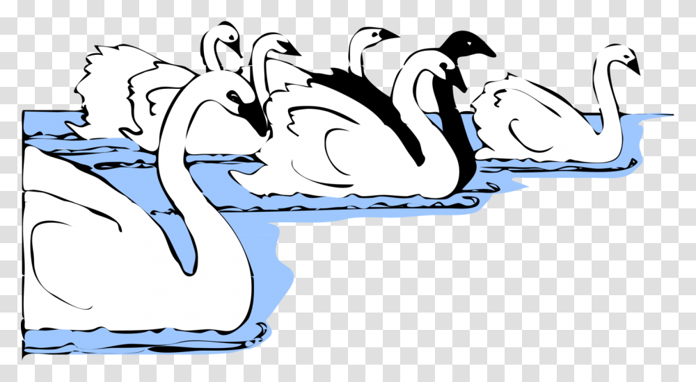 Arttextbeak Many Swans Clipart, Bird, Animal, Goose, Penguin Transparent Png