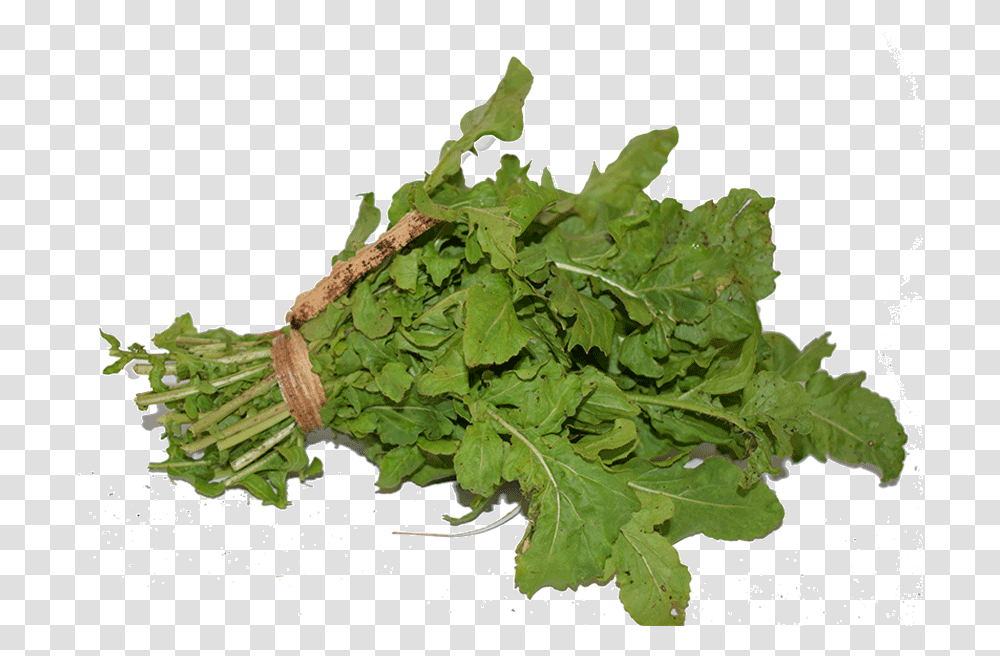 Arugula High Quality Image Parsley, Plant, Vegetable, Food, Produce Transparent Png