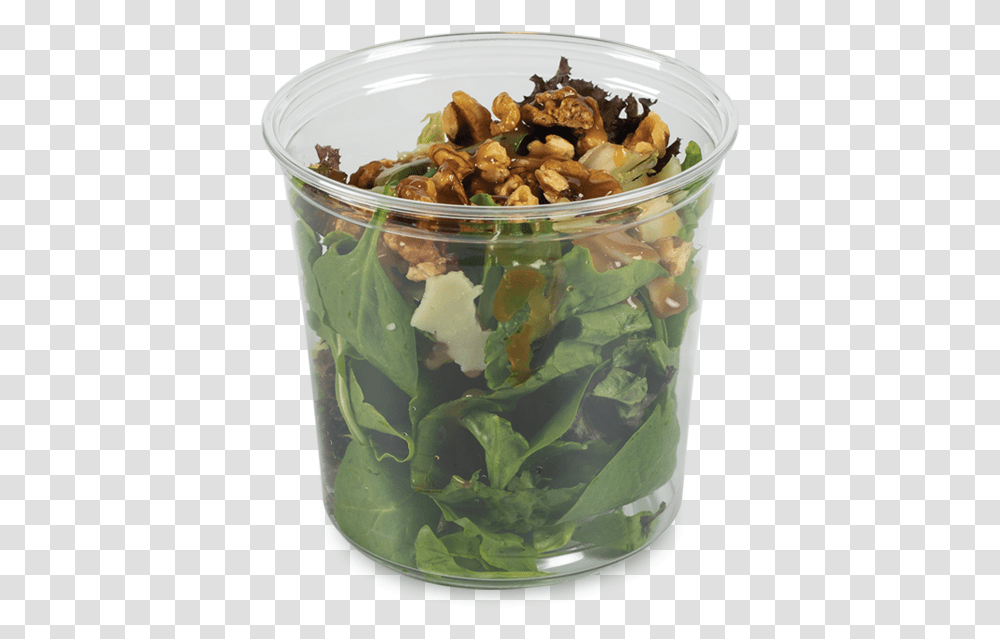 Arugula Parmesan Salad Spinach Salad, Plant, Vegetable, Food, Nut Transparent Png