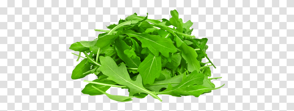 Arugula With White Background, Plant, Produce, Food, Vegetable Transparent Png