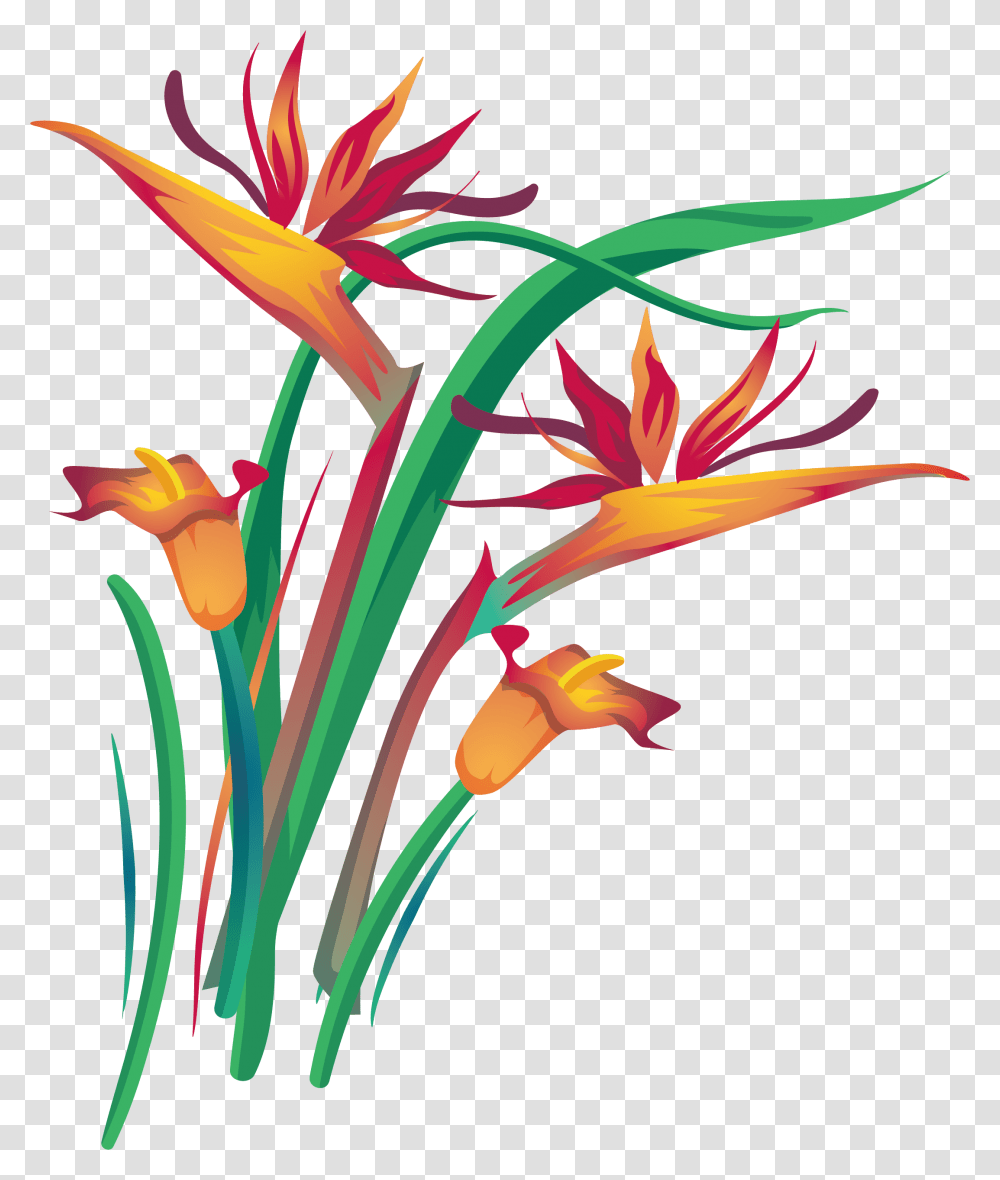 Arum Lily Floral Design Clip Art, Plant, Pattern, Flower Transparent Png