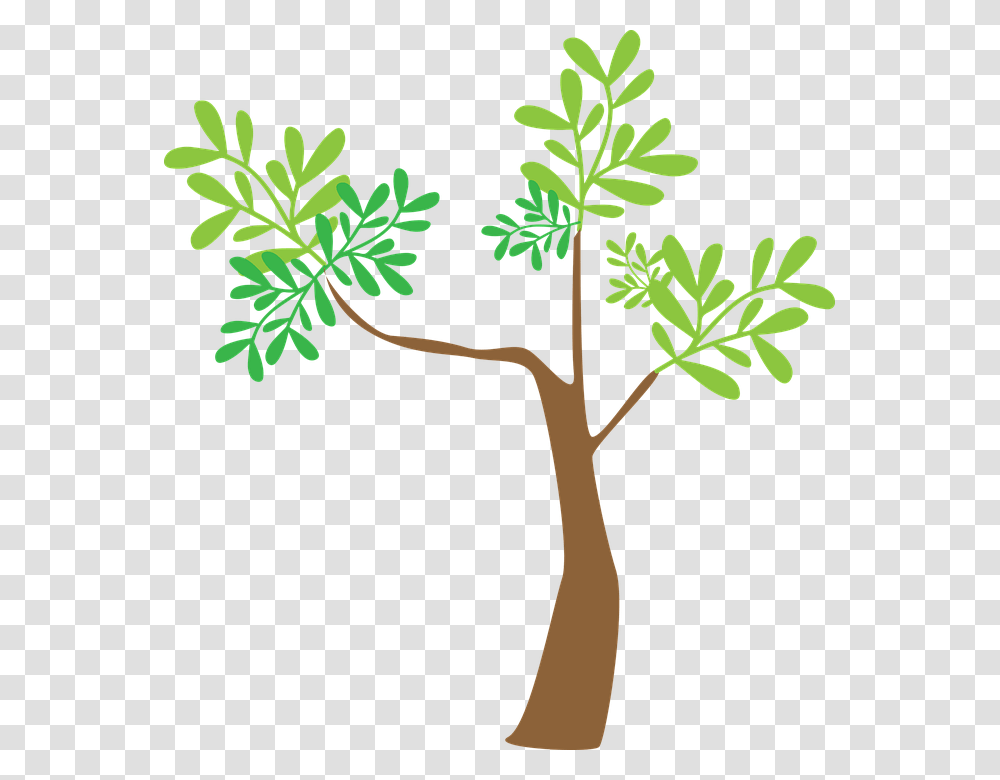 Arvore Com Pouca Folhas, Tree, Plant, Cross Transparent Png