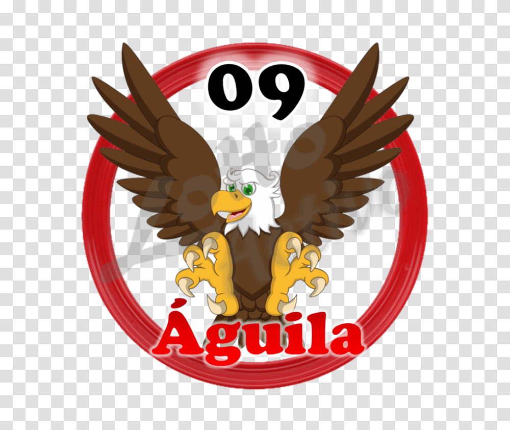 As Dorado On Twitter Lotto Activo, Eagle, Bird, Animal Transparent Png
