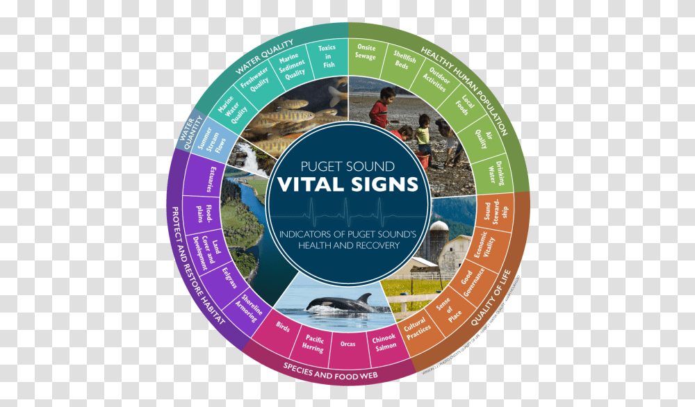 As Of 2016 The Puget Sound Vital Signs Wheel Shows Puget Sound Vital Signs, Person, Human, Poster, Advertisement Transparent Png