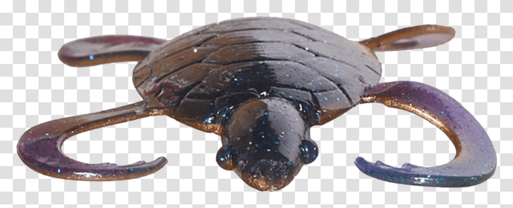As Seen On Tv Eastern Newt, Sea Life, Animal, Tortoise, Turtle Transparent Png