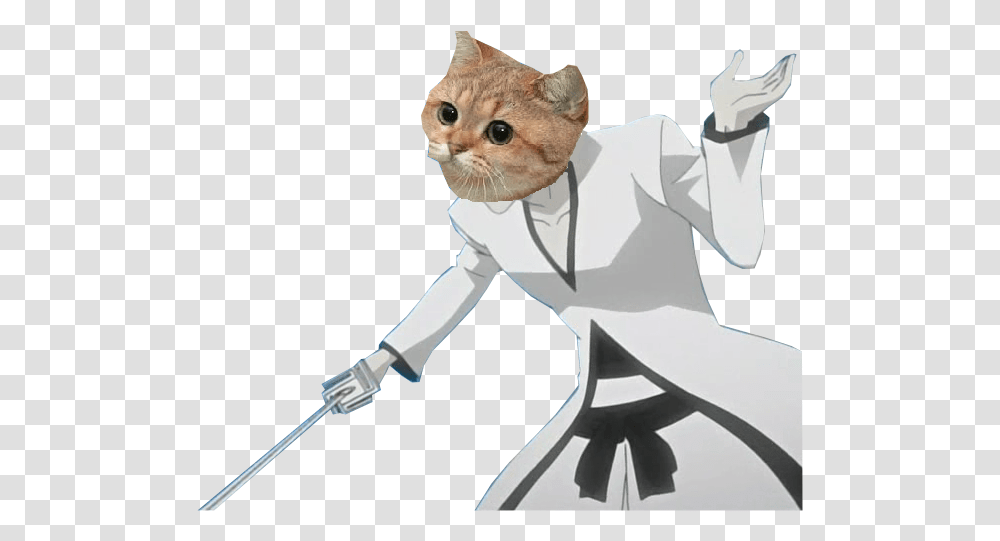 As Someone Who's Loved Demon S Souls Dark Souls And, Person, Human, Doctor, Animal Transparent Png