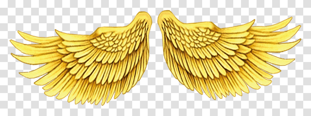 Asa De Anjo Dourada, Angel, Archangel, Modern Art Transparent Png