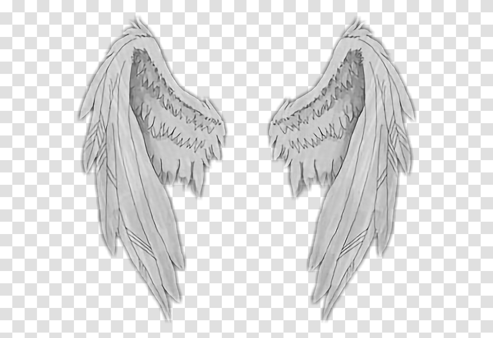 Asas Angel Anjo Wings Angelwings Sticker Wings Stickers, Archangel, Person Transparent Png