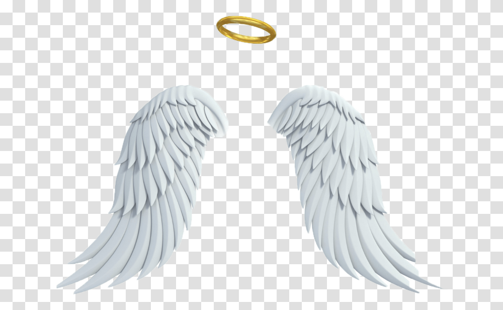 Asas Angel Wings White Background, Bird, Animal, Archangel Transparent Png