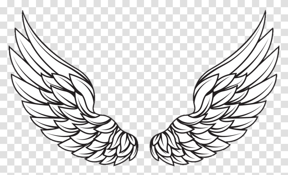Asas De Anjo White Wings Vector, Emblem, Plant, Logo Transparent Png